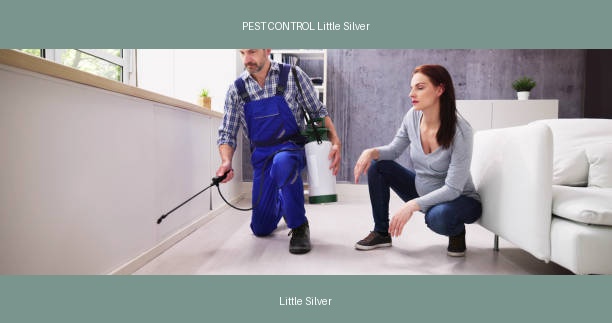 PEST CONTROL Little Silver